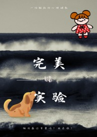 完美实验品喜羊羊